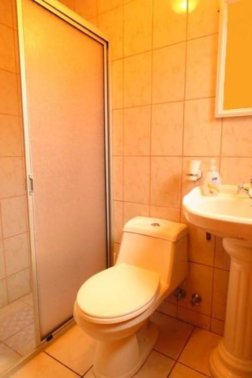 Apart-Hotel Colonia-Koenigsberg Estacionamiento Deptos Completos Ubicado En El Centro De Valdivia Aire Acondicionado Ngoại thất bức ảnh